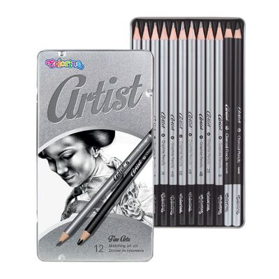 SET OLOVAKA ZA SLIKANJE 12/1 ARTIST COLORINO 80118PTR
