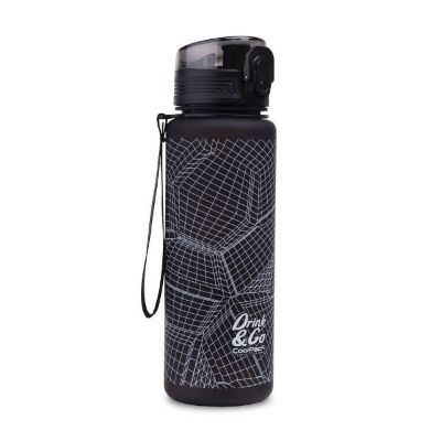 Bočica za vodu BRISK 600 ml Render Z16917