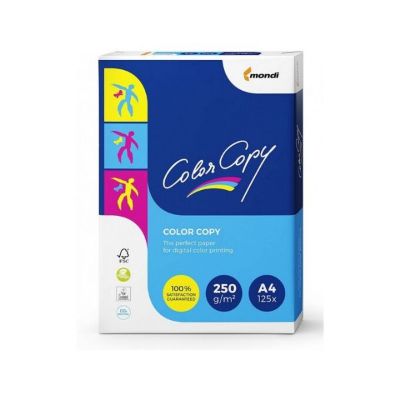 PAPIR COLOR COPY A4 250GR. 125/1